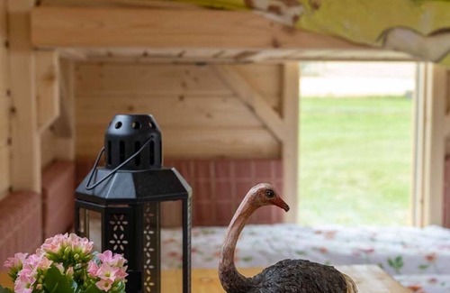 Striegistal House | Shepherd's wagon romance in the beautiful Striegis valley