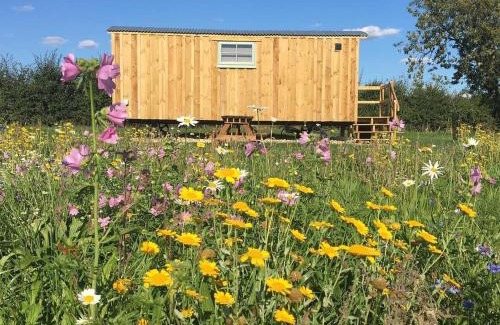 Bedfield House | Shepherds Hut 5
