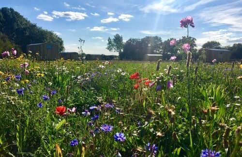 Bedfield House | Shepherds Hut 5