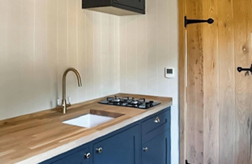 Tilney Fen End Cottage | Shepherds Hut - UK49729
