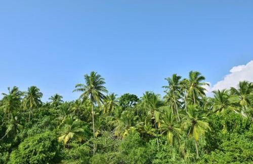 Kosgoda Resort | Sheraton Kosgoda Turtle Beach Resort