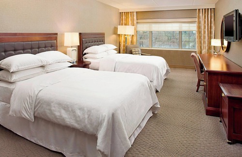 Rockville Hotel | Sheraton Rockville Hotel