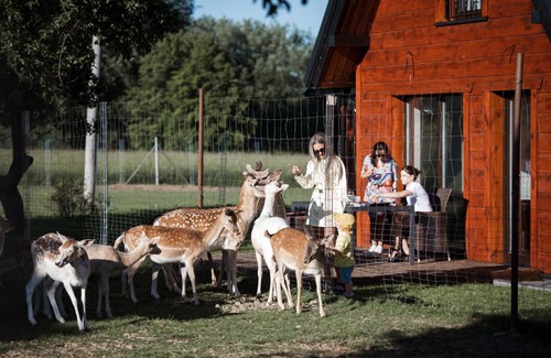 Darsuniskis House | Sherolle vila