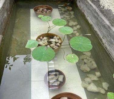 Vadavalli House | SHI's Isha Homestay in Coimbatore