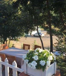 Shkoder County House | Shija e Natyres