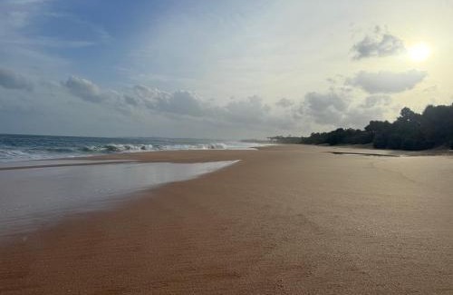 Rekawa Resort | Shine Wave Turtle Beach