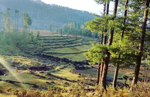 Patnitop Other | Shiva Cafe and Stays