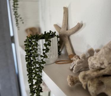 Struisbaai House | Shoreline Cottage