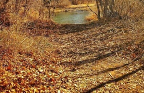 Camp Verde House | Short Distance From The Well Known Sites! Onsite Pool, Pets Allowed, Parking!
