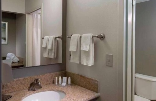 Boca Raton Hotel | Short Drive to Boca Raton Beach! Pets Are Welcome, Free Parking, Pool!