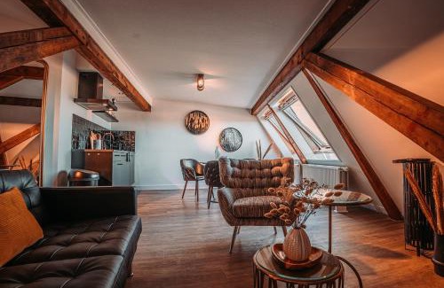 Heerenveen Apartment | Short Stay Apartments Heerenveen