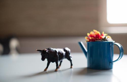 La Brea Hotel | Short Stories Hotel