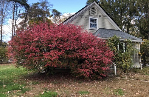 Lincoln House | Short term, pet friendly solar home in a quiet Lincoln neighborhood