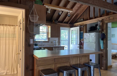 Dennis Port Cottage | Short Walk to beach, Wee Packet, Sundae School Ice Cream, secluded, large yard