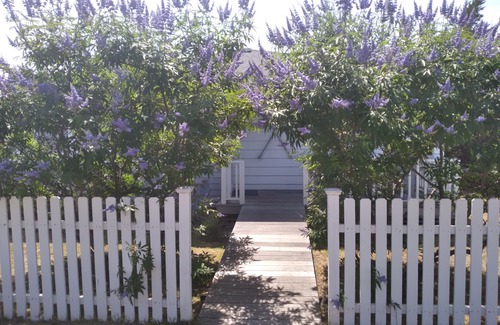 Ocean Beach House | Short walk to Ocean beaches, excellent restaurants and entertainment