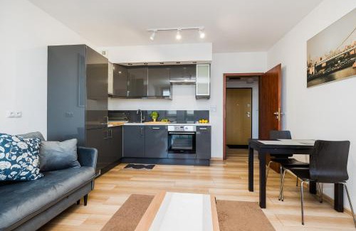 Gorce Apartment | ShortStayPoland Grodkowska (B114)