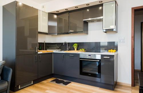 Gorce Apartment | ShortStayPoland Grodkowska (B114)