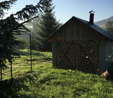 Verkhovyna House | Shum Cheremosha