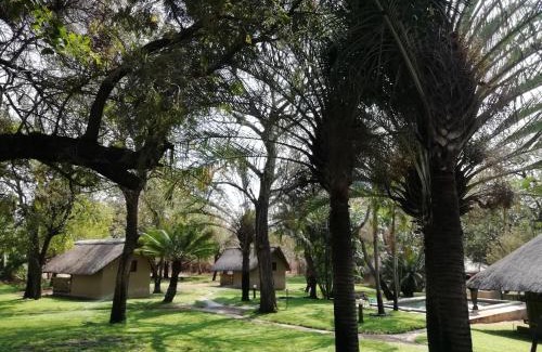 Hoedspruit Cabin | Shumba Safari Bush Camp