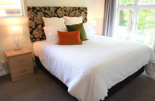 Greytown Bed & Breakfast | Shy Cottage - Boutique accommodation in Greytown