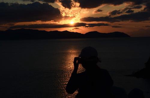 Komodo House | Siangel