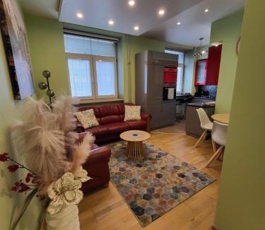 Siauliai City Center Apartment | Siauliai Apartments - Traku