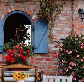 Stargard Szczecinski Bed & Breakfast | Siedlisko Nad Miedwiem