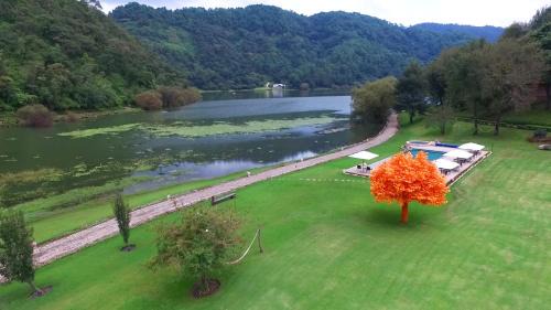 Mascota Hotel | Sierra Lago