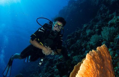 Batudaka Island Resort | Sifa Diving Resort