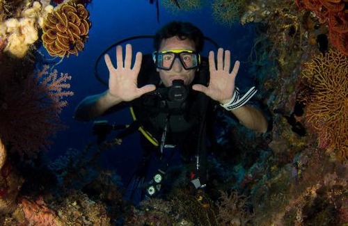 Batudaka Island Resort | Sifa Diving Resort