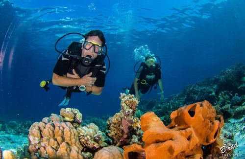 Batudaka Island Resort | Sifa Diving Resort