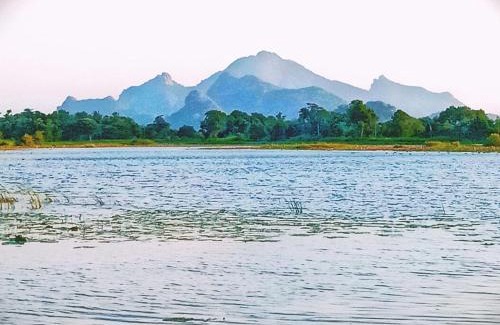Dambulla Cabin | Sigiri Crown Tree Lodge