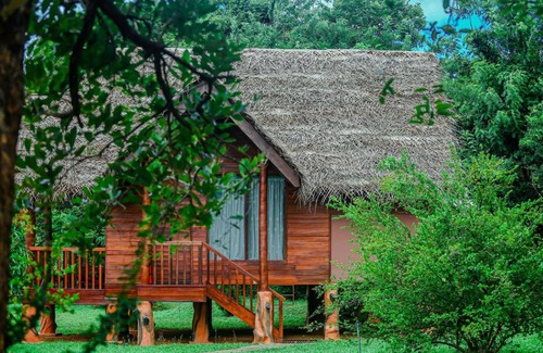 Sigiriya Apartment | Sigiriya Water Cottage