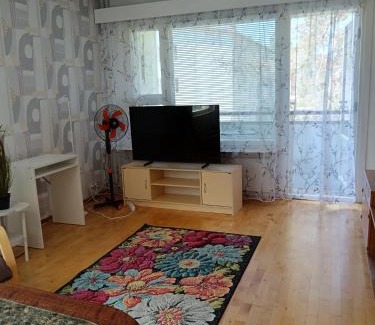 Lieksa Apartment | Siisti valoisa kolmio