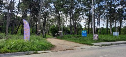 San Pedro de la Ribera Apartment | Silencio y tranquilidad