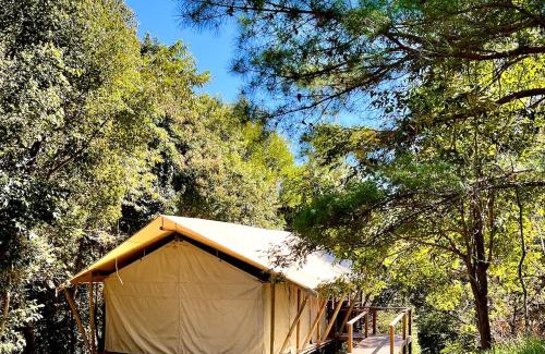 Mount Burrell Resort | Silk Pavilions Glamping