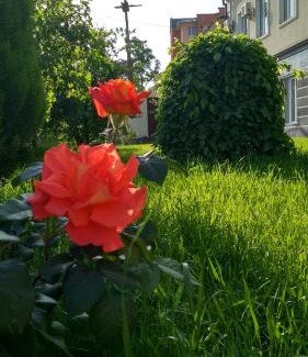 Osh Hotel | Silk Way Boutique Hotel