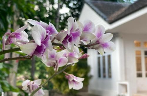Tha Kham House | Silpasom ARTstay