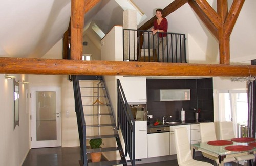 Billigheim-Ingenheim Apartment | Silvaner suite - Winzerhof am Steingebiss