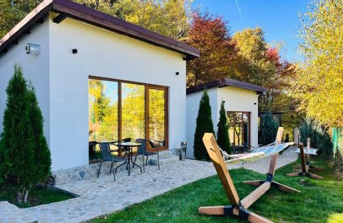 Sacele House | Silver Bungalow