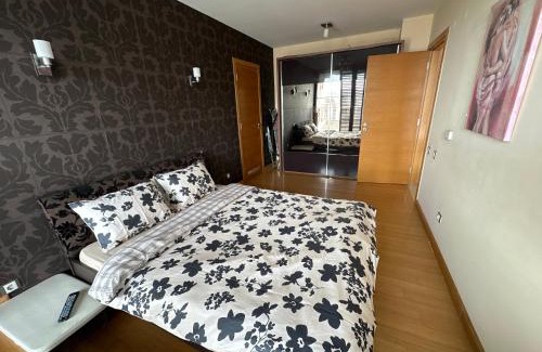 rayon Triaditsa Apartment | Silver city