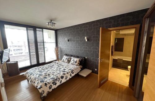rayon Triaditsa Apartment | Silver city