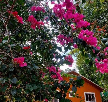 Kidanganad House | Silver dale home stay