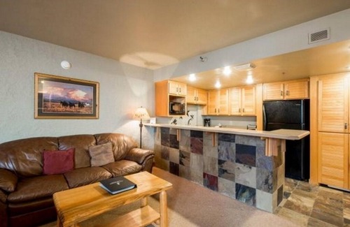 North Park City Condo | Silver King Studio has it ALL!
