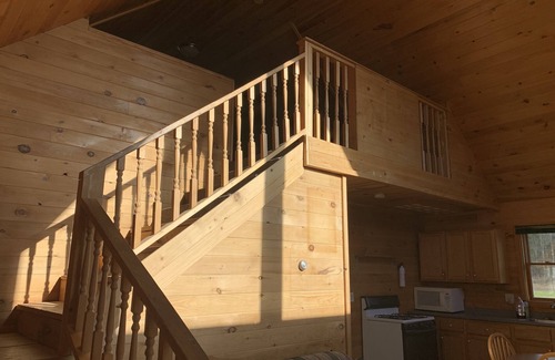 Pelkie Cabin | Silver Mountain Cabins #2 (sleeps 9)