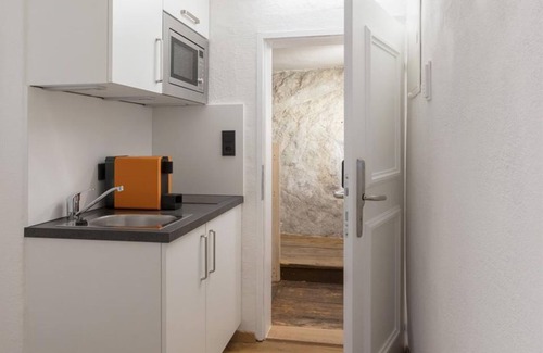 Altstadt Apartment | Silver Room - APT. Stone Lodge Salzburg