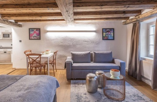 Altstadt Apartment | Silver Room - APT. Stone Lodge Salzburg
