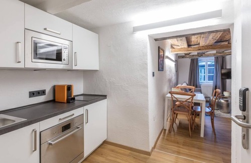 Altstadt Apartment | Silver Room - APT. Stone Lodge Salzburg