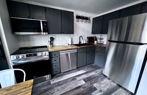 Lake City Condo | Silver Street Condos - Unit 2 - Explore the Alpine Loop 🏔️🥾🎣