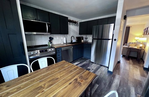 Lake City Condo | Silver Street Condos - Unit 2 - Explore the Alpine Loop 🏔️🥾🎣
